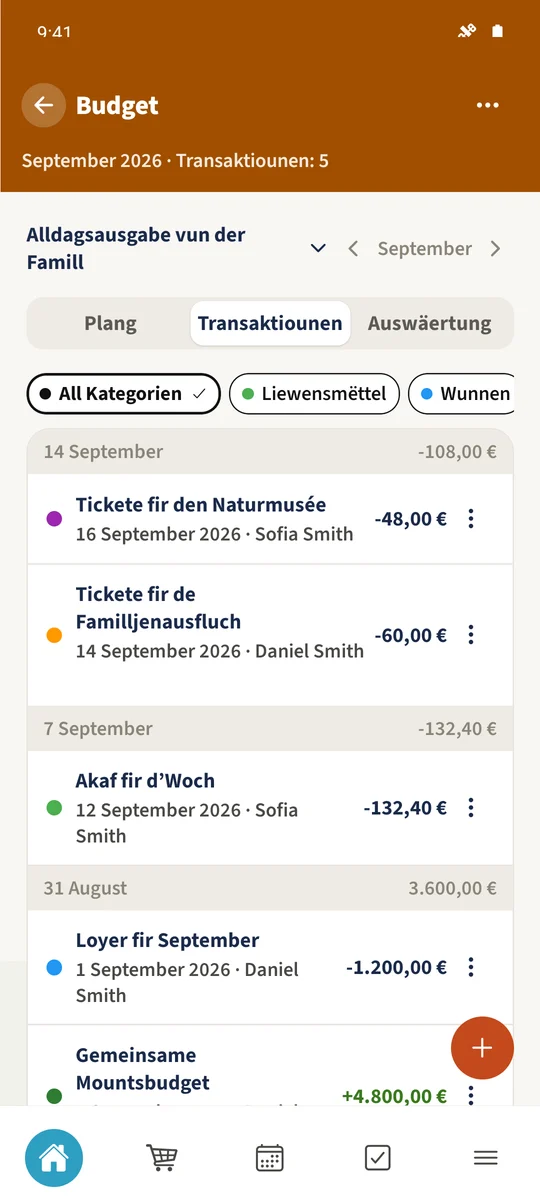 Transaktioune weist dat erfaasst Akommes an d’Ausgabe vun der Famill.