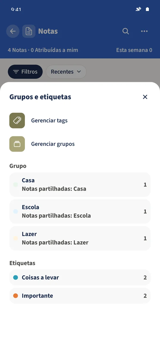 Grupos e etiquetas mostra Escola, Casa e Lazer com as etiquetas existentes.