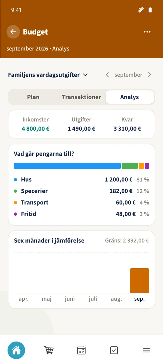 Analys visar inkomst- och utgiftssummorna och kategorin Specerier på 182 €.